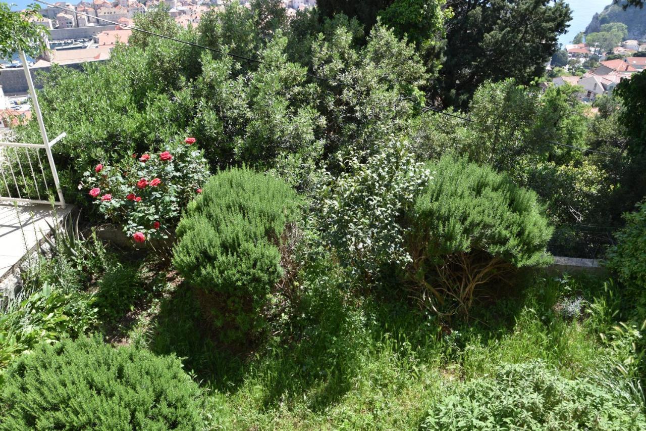 Sunny Summer Dubrovnik Ngoại thất bức ảnh